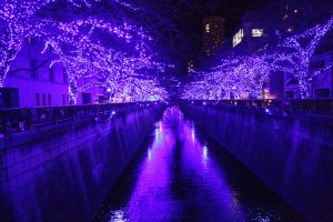 中目黒の名物青の洞窟が復活 イルミネーションが目黒川を彩ります