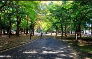 渋谷区 防音室 代々木上原 代々木八幡 代々木公園 防音室 マンション 近所の公園