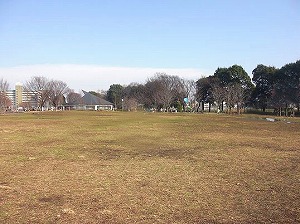 ひばりヶ丘戸建・公園