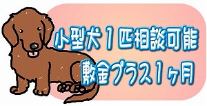 ひばりヶ丘戸建・小型犬相談可能