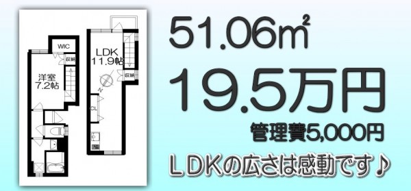 メロディア原宿・201間取