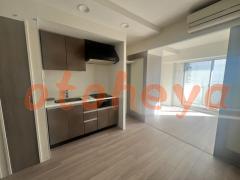 楽器ピアノ可相談 の 賃貸物件 1DK 16万円の写真10