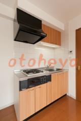 楽器ピアノ可相談 の 賃貸物件 1DK 12.8万円の写真３