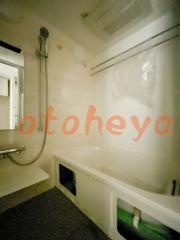 楽器ピアノ可相談 の 賃貸物件 1LDK 24.5万円の写真5