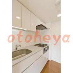 楽器ピアノ可相談 の 賃貸物件 1LDK 27万円の写真４