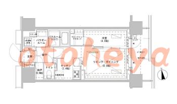 楽器ピアノ可相談 の 賃貸物件 1LDK 23万円の図面１