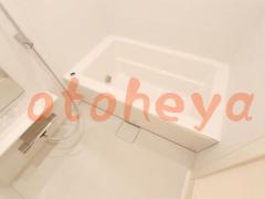 楽器ピアノ可相談 の 賃貸物件 1LDK 39万円の写真１０