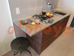 楽器ピアノ可相談 の 賃貸物件 1R 12.4万円の写真７