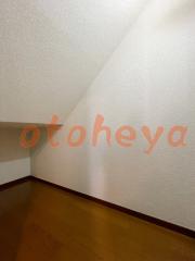 防音賃貸物件・楽器ピアノ可相談 の 賃貸物件 8SDK 60万円の写真１０