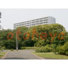 楽器ピアノ可相談 の 賃貸物件 3LDK 27.1万円の写真３