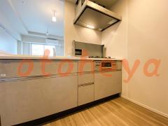 楽器ピアノ可相談 の 賃貸物件 1LDK 27万円の写真４