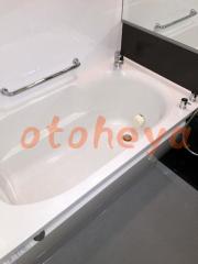 楽器ピアノ可相談 の 賃貸物件 1LDK 25.2万円の写真５