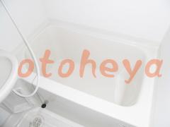 楽器ピアノ可相談 の 賃貸物件 1LDK 5.2万円の写真６