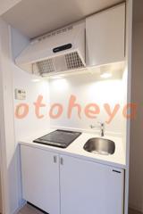 楽器ピアノ可相談 の 賃貸物件 1R 11万円の写真４
