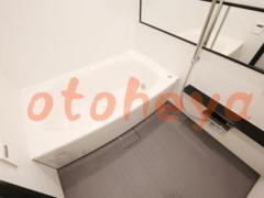 楽器ピアノ可相談 の 賃貸物件 1LDK 27万円の写真８