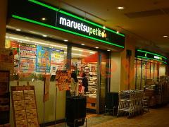 楽器ピアノ可相談 の 賃貸物件 1LDK 18.7万円の写真７