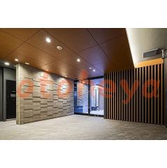 楽器ピアノ可相談 の 賃貸物件 1LDK 19.3万円の写真４