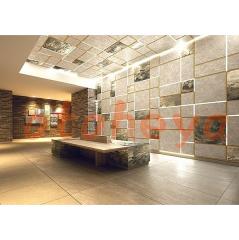 楽器ピアノ可相談 の 賃貸物件 2LDK 24.7万円の写真３