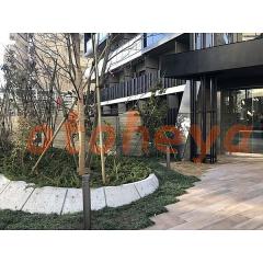 楽器ピアノ可相談 の 賃貸物件 1LDK 20万円の写真３