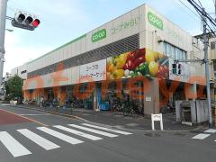 楽器ピアノ可相談 の 賃貸物件 3LDK 17.2万円の写真４