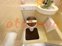 防音賃貸物件・楽器ピアノ可相談 の 賃貸物件 1K 4.7万円の写真８
