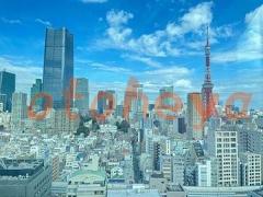 楽器ピアノ可相談 の 賃貸物件 3LDK 88万円の写真７