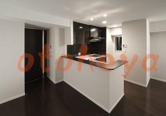 楽器ピアノ可相談 の 賃貸物件 1LDK 21.3万円の写真８