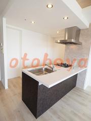 楽器ピアノ可相談 の 賃貸物件 1LDK 26万円の写真7