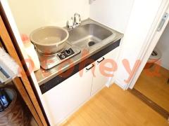 楽器ピアノ可相談 の 賃貸物件  49.5万円の写真６