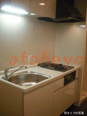 楽器ピアノ可相談 の 賃貸物件 1LDK 16.4万円の写真４