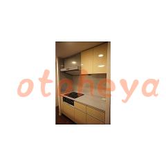 楽器ピアノ可相談 の 賃貸物件 1SLDK 33.5万円の写真５