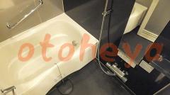 楽器ピアノ可相談 の 賃貸物件 1K 10万円の写真６