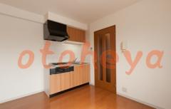 楽器ピアノ可相談 の 賃貸物件 1DK 12.8万円の写真８