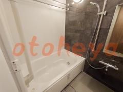 楽器ピアノ可相談 の 賃貸物件 1LDK 26.1万円の写真５