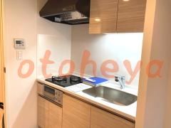 楽器ピアノ可相談 の 賃貸物件 1LDK 16.5万円の写真３