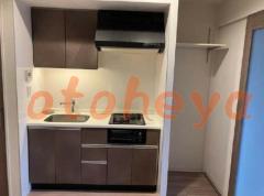 楽器ピアノ可相談 の 賃貸物件 1DK 16万円の写真4